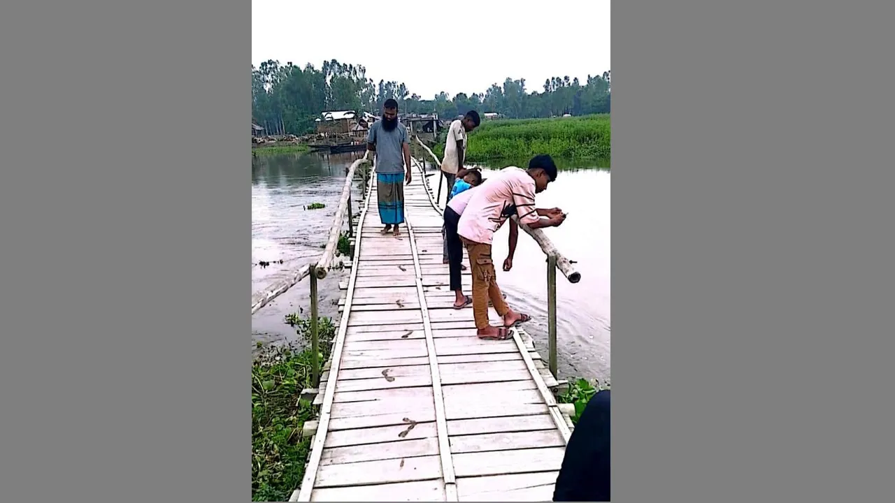 সুন্দরগঞ্জে ৩০ হাজার মানুষের ভরসা কাঠের সাঁকো!