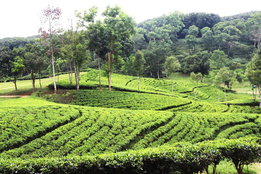 Sylhet--