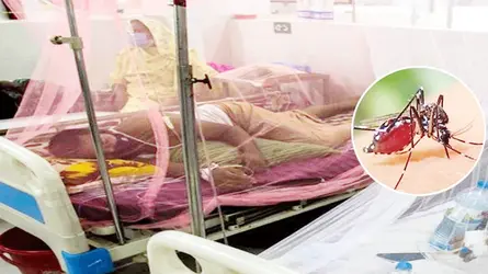 সিলেট বিভাগে আরো ৪ ডেঙ্গুরোগী শনাক্ত, মোট আক্রান্ত ৭৭