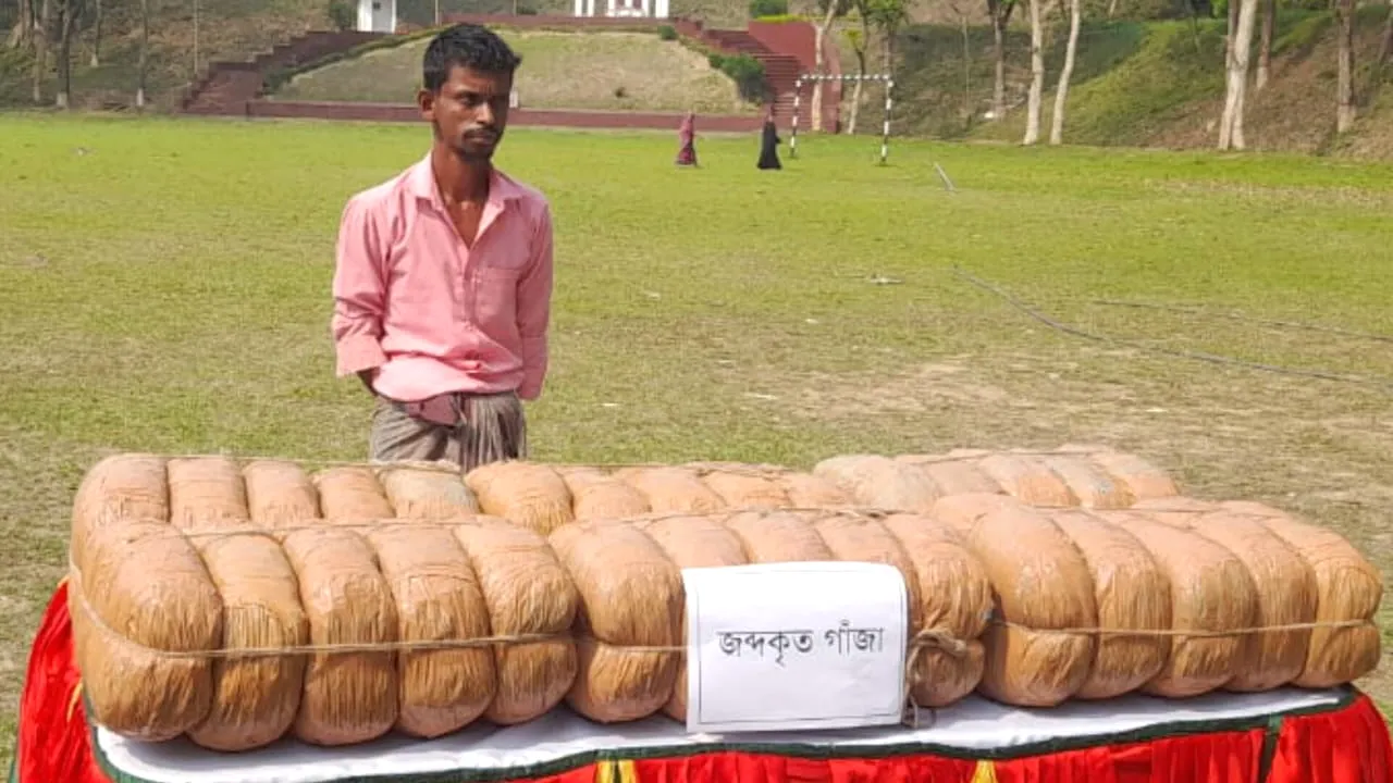 সিলেটে সেনাবহিনীর অভিযানে গাঁজাসহ আটক ১