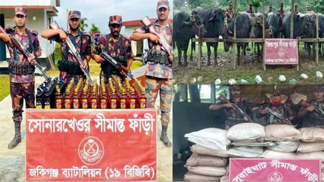 সিলেট সীমান্তে দুই দিনে ৩ কোটি টাকার চোরাইপণ্য জব্দ