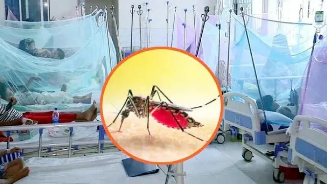 ডেঙ্গুতে ৪ জনের মৃত্যু, হাসপাতালে ভর্তি ১৫৫৮ রোগী