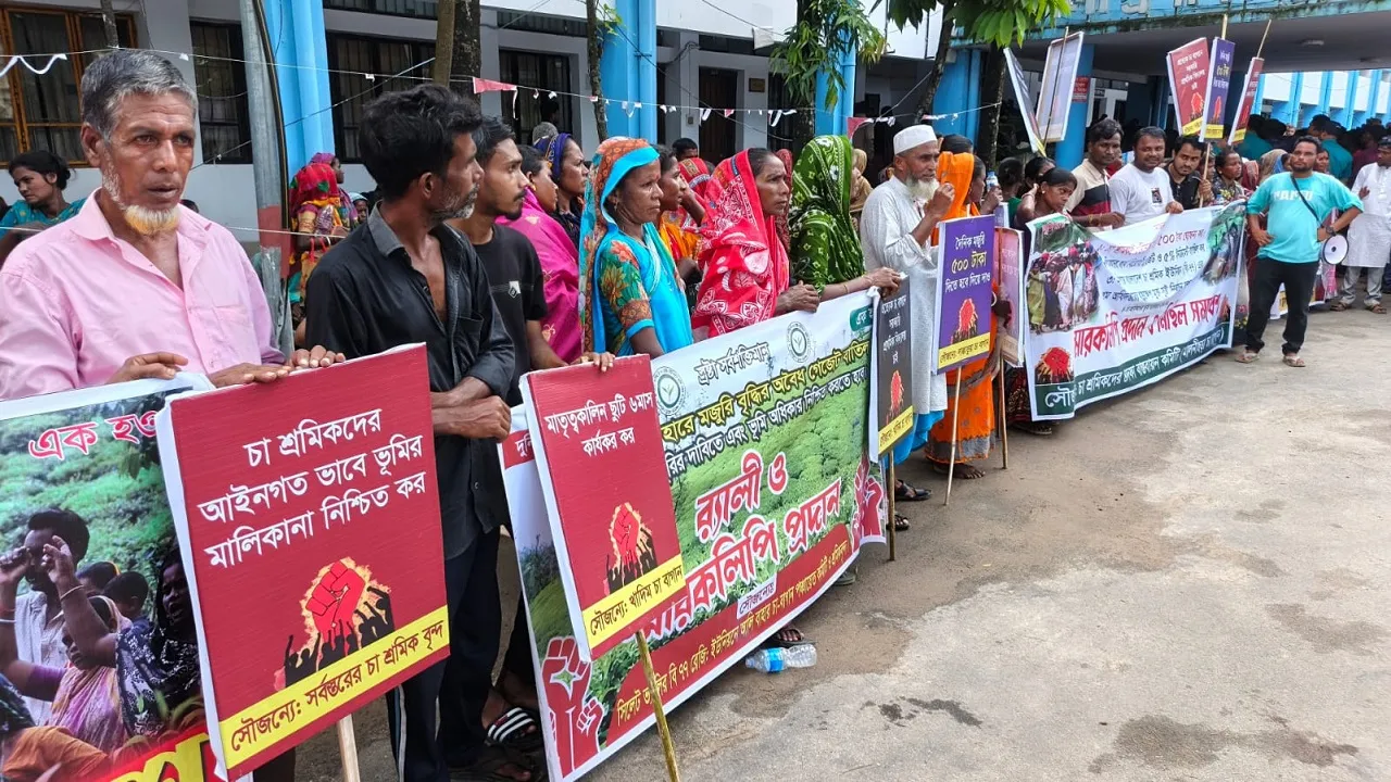 সিলেটে চা শ্রমিকদের ১৫ দিনের আল্টিমেটাম : ডিসি বরাবর স্মারকলিপি