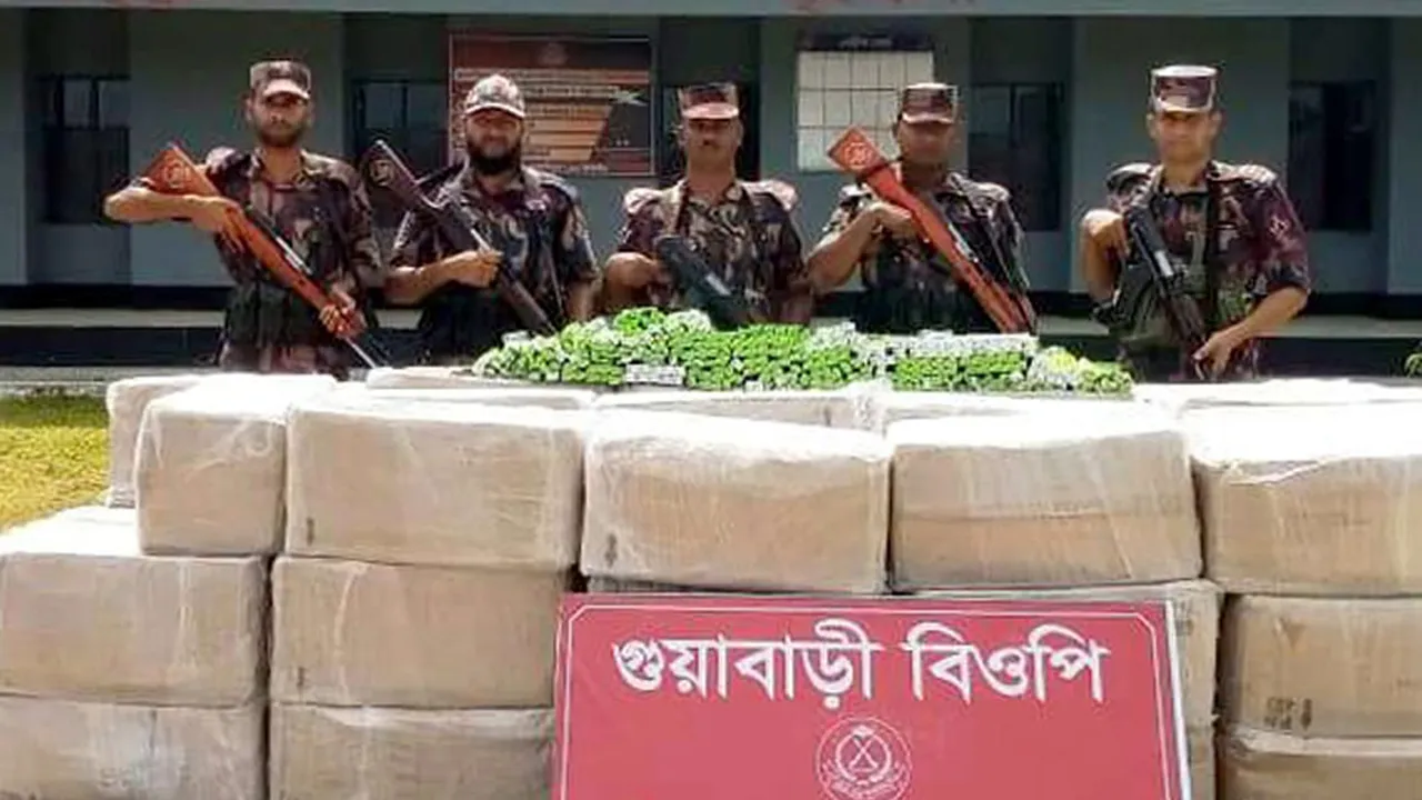 সিলেট সীমান্তে বিজিবির অভিযানে ভারতীয় ওষুধ জব্দ