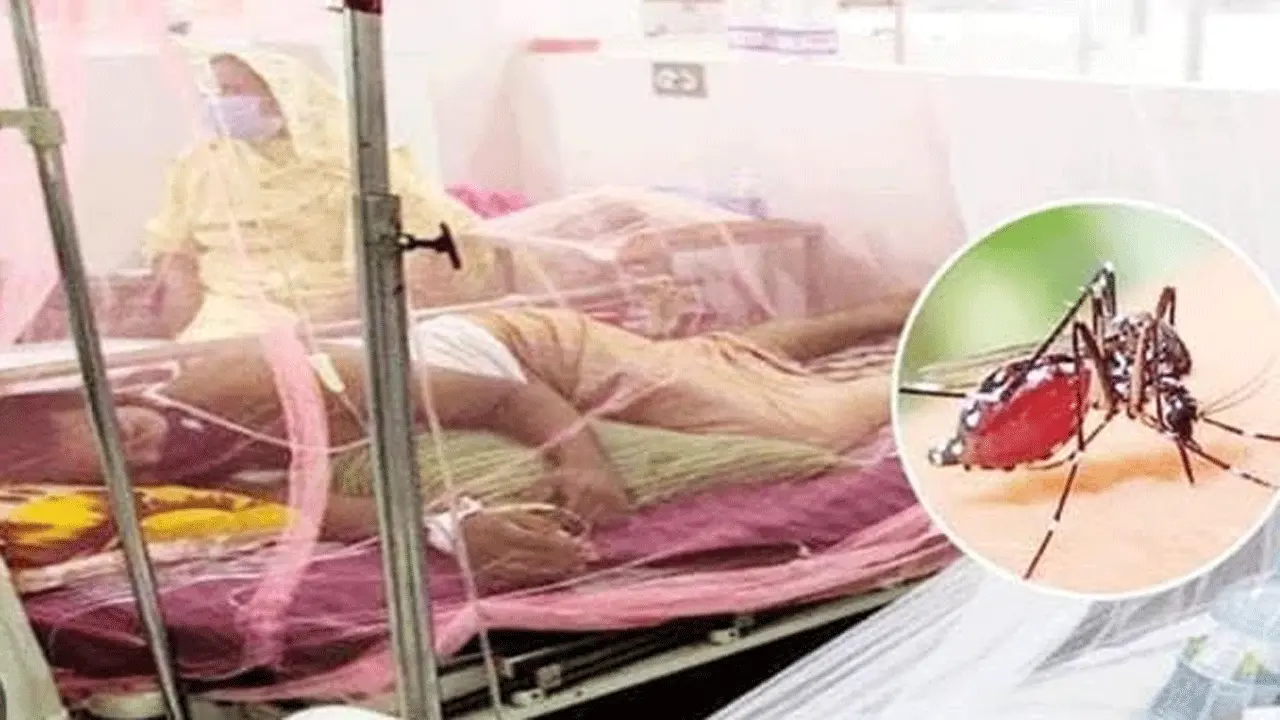 সিলেটে ছড়িয়ে পড়েছে ডেঙ্গু