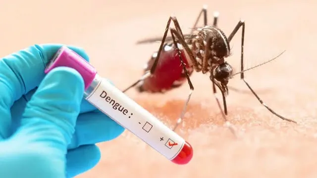 সিলেটে আরো ৩ ডেঙ্গুরোগী শনাক্ত