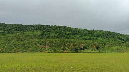 তাহিরপুর সীমান্তে কয়লা আনতে ভারতে গিয়ে বাংলাদেশী যুবকের মৃত্যু
