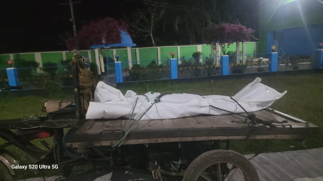 তালায় সড়ক দুর্ঘটনায় পথচারী নিহত