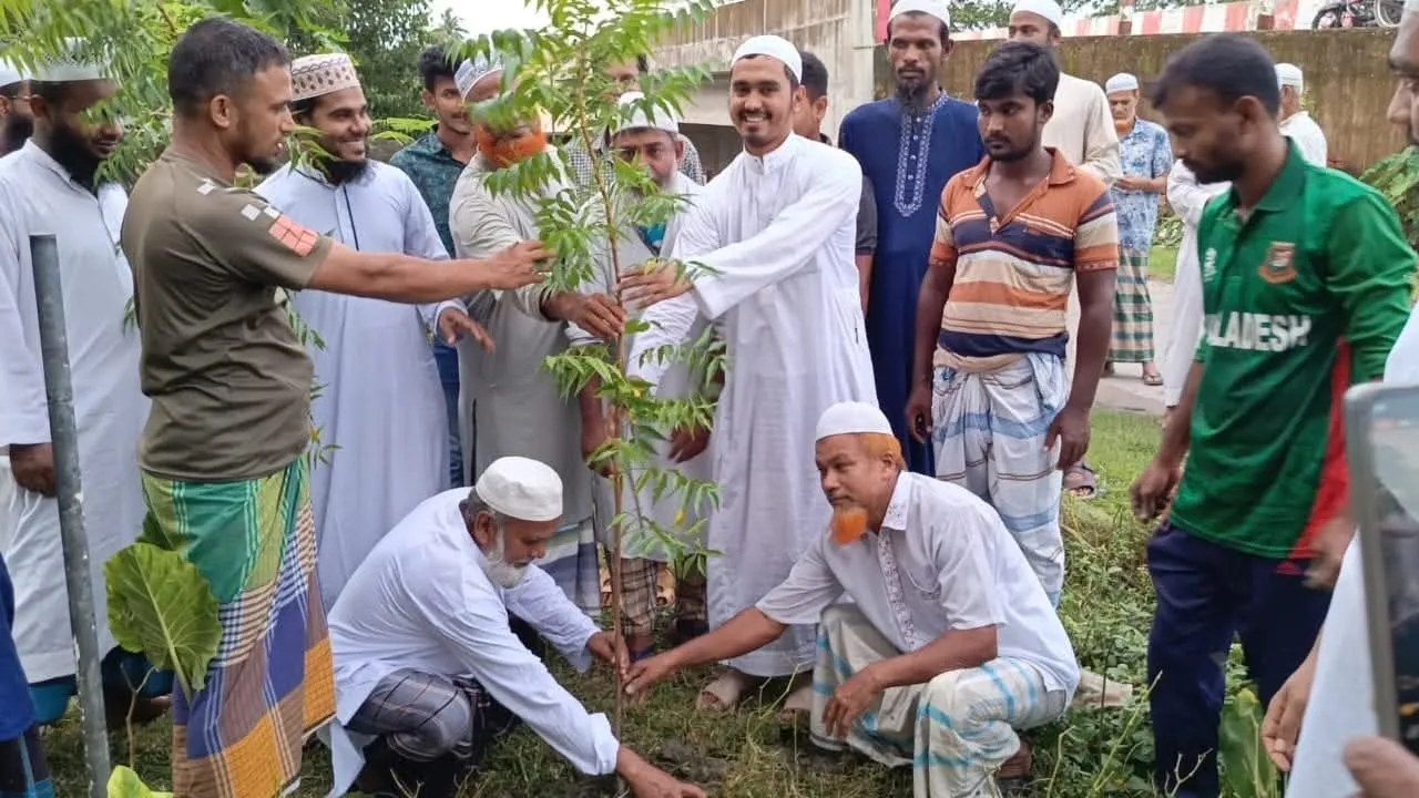 কাঁঠালিয়ায় নিম গাছের চারা রোপণ করে দৃষ্টান্ত স্থাপন করেছে তালগাছিয়া মাদরাসা