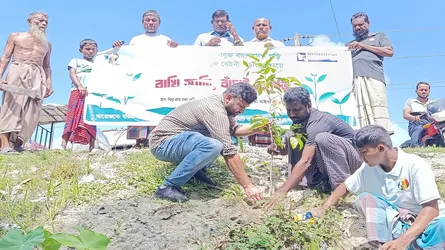 বরগুনায় জলবায়ু ও পরিবেশের ভারসাম্য রক্ষায় দুই শতাধিক বৃক্ষরোপণ