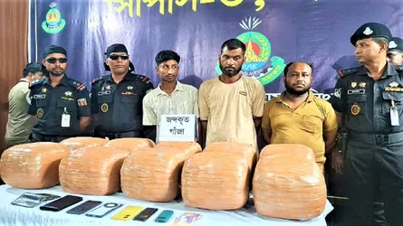 টাঙ্গাইলে ৪৯ কেজি গাঁজাসহ গ্রেফতার ৩
