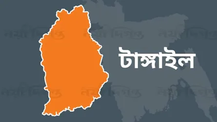মধুপুরে সড়ক দুর্ঘটনায় বৃদ্ধার মৃত্যু