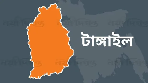টাঙ্গাইলের ৮টি আসনে ৭টিতে বিএনপির জয়, স্বতন্ত্র ১
