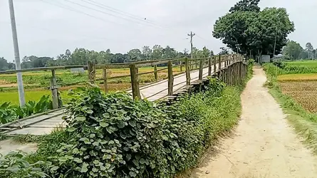 নাগরপুরে বাশঁ-কাঠের নির্মিত নড়বড়ে সাঁকোটিই ৯ গ্রামের মানুষের ভরসা