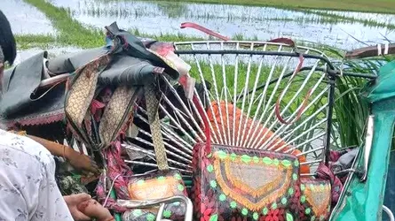 টাঙ্গাইলে বাস ও সিএনজির সংঘর্ষে নিহত ৩