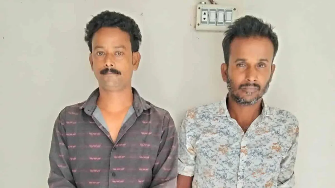 টাঙ্গাইলে গণধর্ষ‌ণের শিকার গৃহবধূ, গ্রেফতার ২