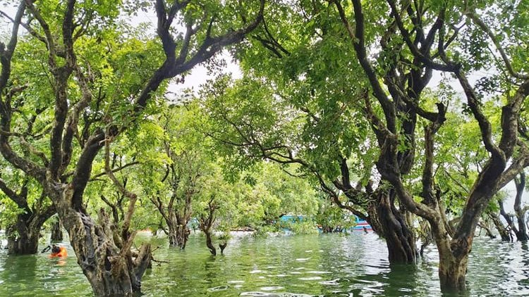 Tanguar Haor-02
