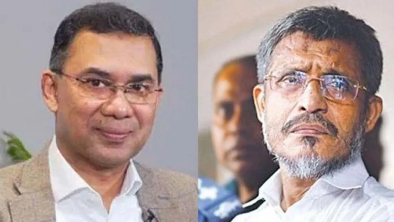 তারেক-বাবরের খালাসের বিরুদ্ধে আপিল শুনানি চলছে