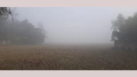 শ্রীমঙ্গলে দেশের সর্বনিম্ন তাপমাত্রা