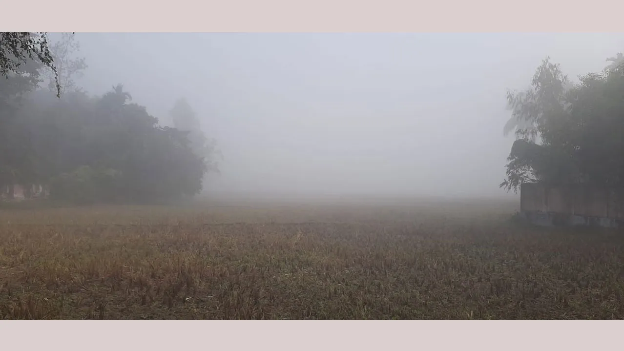 শ্রীমঙ্গলে দেশের সর্বনিম্ন তাপমাত্রা