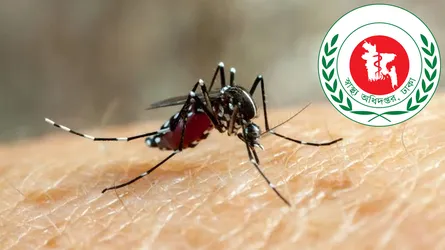 ডেঙ্গুতে আরো ৩ জনের মৃত্যু, হাসপাতালে ভর্তি ২৫১