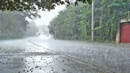 ঢাকায় বজ্রবৃষ্টির পূর্বাভাস