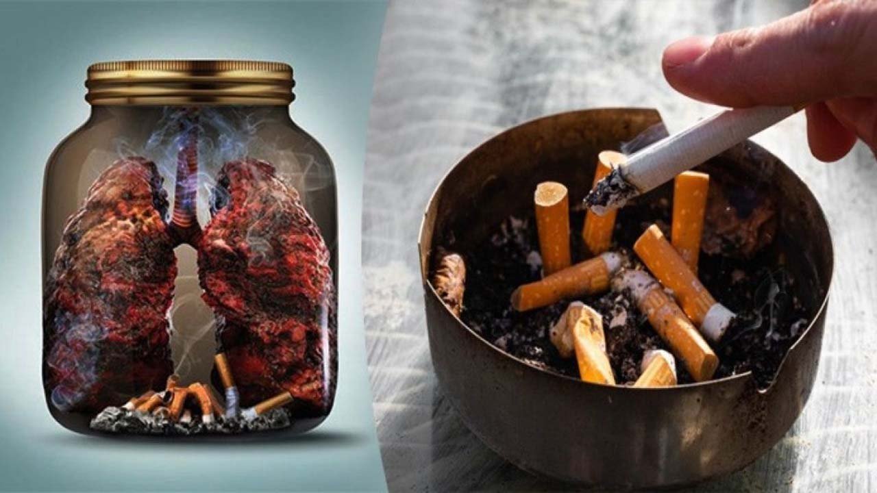 Tobaco