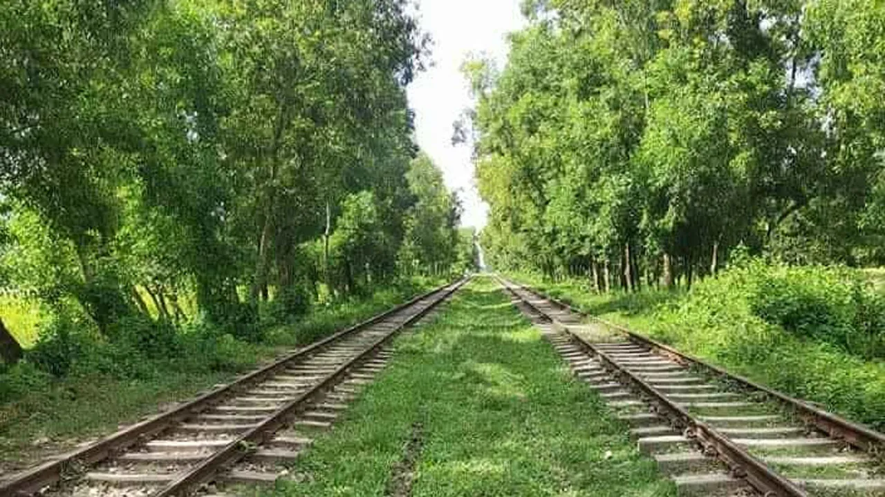 মিরসরাইয়ে ট্রেনে কাটা পড়ে শ্রমিকের মৃত্যু