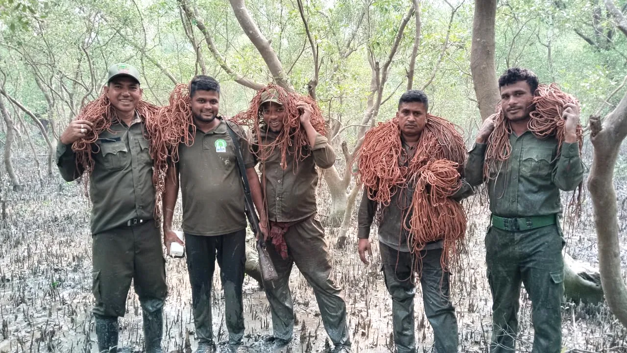 সুন্দরবনে রেঞ্জ কর্মকর্তাকে মারধরের ঘটনায় মামলা, ফাঁদসহ আটক ৩২ শিকারী