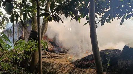 তাড়াশে জুম্মার নামাজ পড়ে ফেরার পথে পিটিয়ে হত্যা
