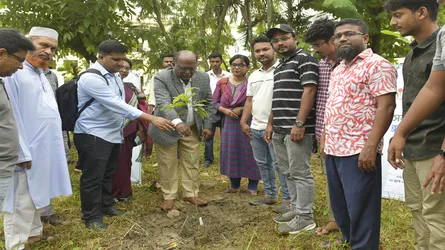 নোবিপ্রবিতে বৃক্ষরোপণ কর্মসূচির উদ্বোধন