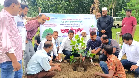 দর্শনায় কেরু এন্ড কোম্পানির বৃক্ষরোপণ কর্মসূচি উদ্বোধন