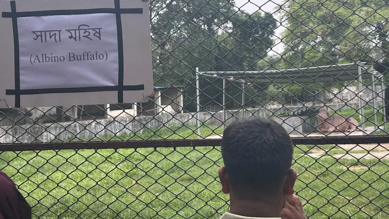 ‘ডোনাল্ড ট্রাম্পের’ কারণে বরখাস্ত জাতীয় চিড়িয়াখানার কিউরেটর!