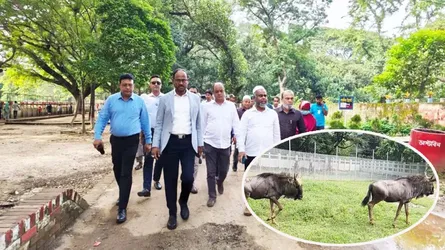 জাতীয় চিড়িয়াখানায় দক্ষিণ আফ্রিকা থেকে আনা হলো নতুন ৪ প্রাণী
