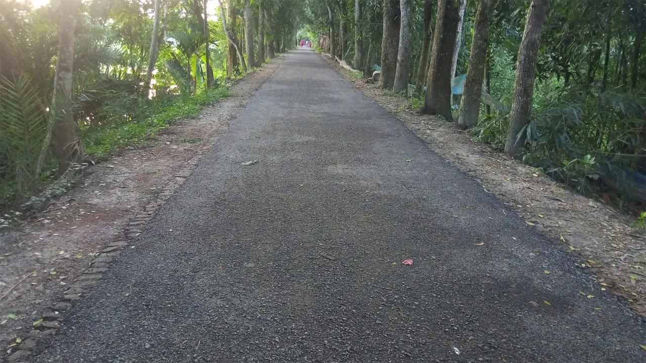 উজিরপুরে দুই মাসেই উঠে যাচ্ছে ৭৫ লাখ টাকার সড়কের পিচ