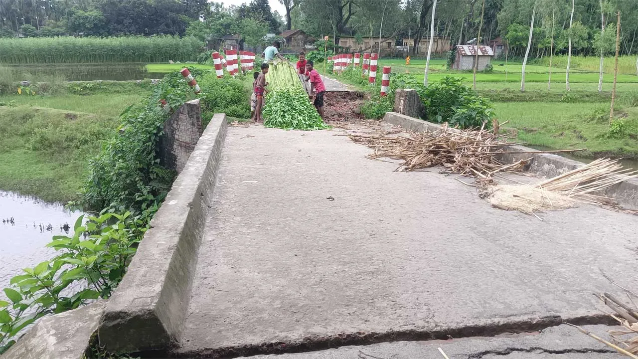 উলিপুরে বুড়িতিস্তা সেতুর একাংশ ধসে যান চলাচল বন্ধ