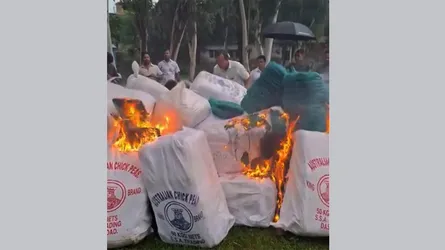 উল্লাপাড়ায় ২০ লাখ টাকার নিষিদ্ধ চায়না দুয়ারী জাল জব্দ