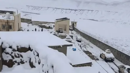 ইরানে প্রবেশের চেষ্টাকালে শীতে আফগান ৩ অভিবাসনপ্রত্যাশীর মৃত্যু