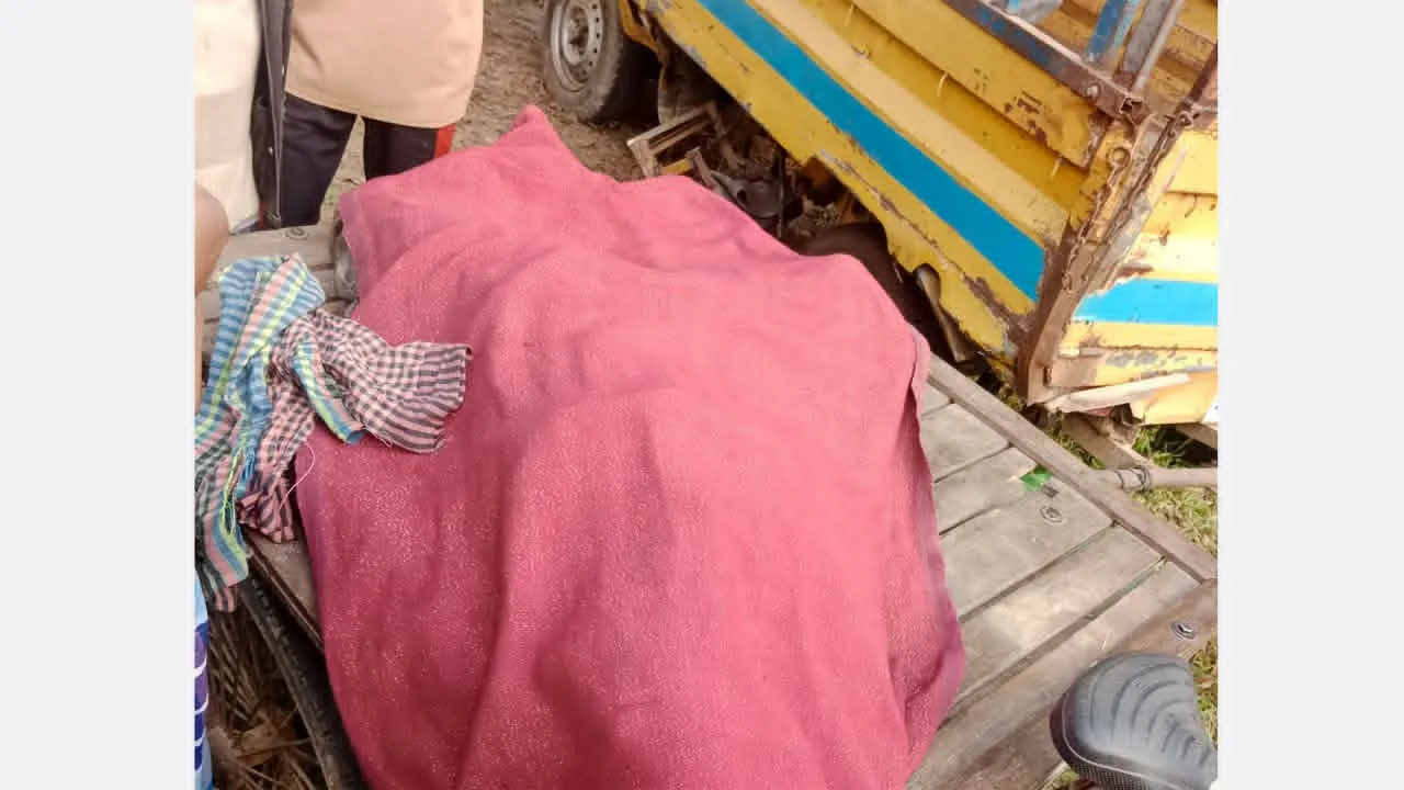 মধুপুরে পরিবহনের ধাক্কায় নিহত ১