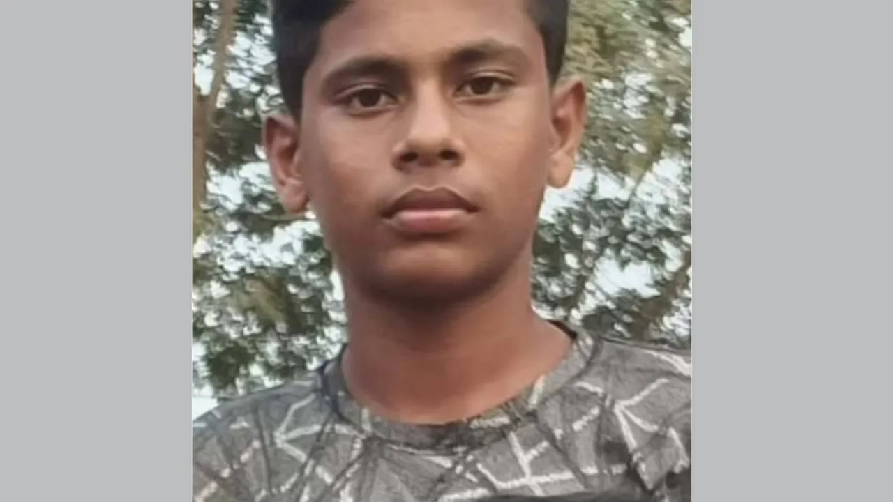 পোরশায় সাপের দংশনে মাদরাসা ছাত্রের মৃত্যু