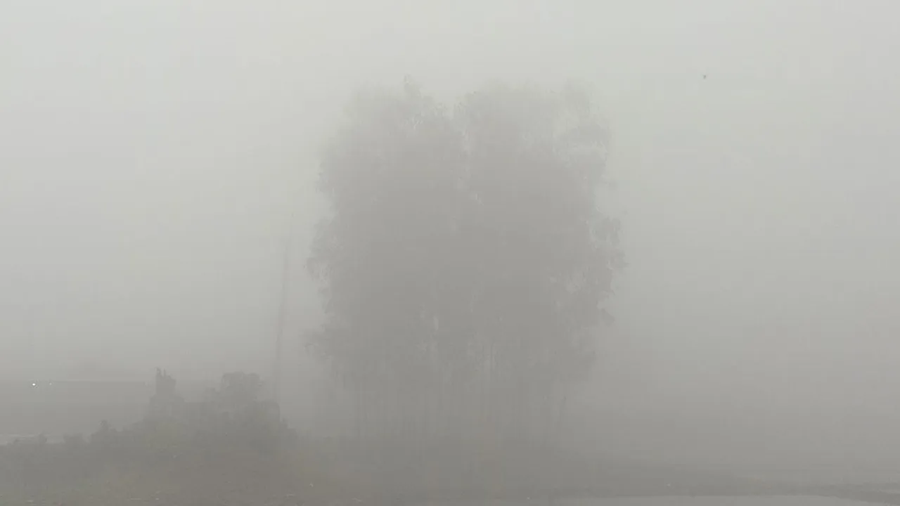 নীলফামারীতে সর্বনিম্ন তাপমাত্রা ১০.৮ ডিগ্রি