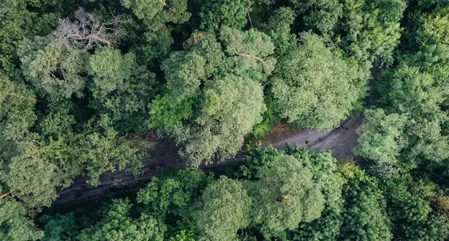মিয়ানমারে উলফা আই ক্যাম্পে ভারতের ড্রোন হামলার খবর, অস্বীকার সেনাবাহিনীর