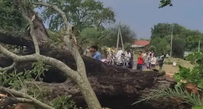 ভারতে বজ্রপাতে মৃত্যু