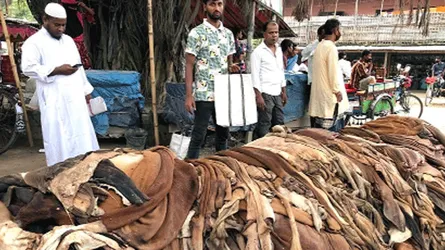 কোরবানির চামড়ার আর্থ-রাজনীতি