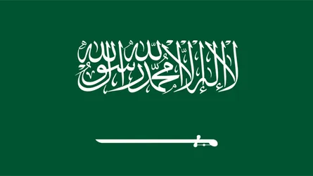 সৌদি আরবে এক সপ্তাহে ২২ হাজারের বেশি প্রবাসী গ্রেফতার