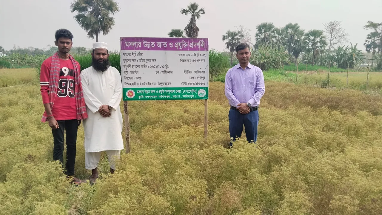 ভাঙ্গায় জিরা চাষে অমিত দাসের সাফল্য