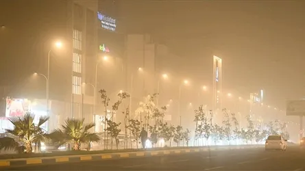 দাবানলের সাথে প্রচণ্ড বালুঝড়ের কবলেও ইসরাইল