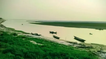 এক সময়ের প্রমত্তা পদ্মা এখন ফসলের মাঠ