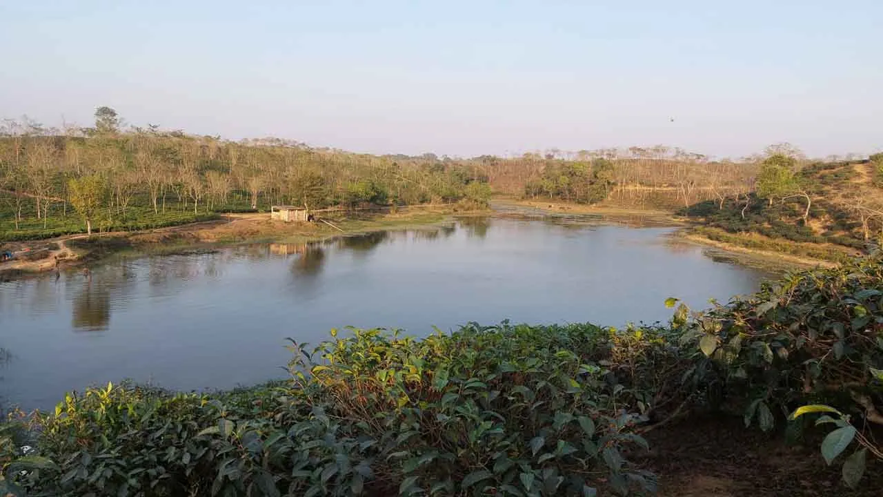 ঢাকায় সংকীর্ণতা, বাইরে একঘেয়ে