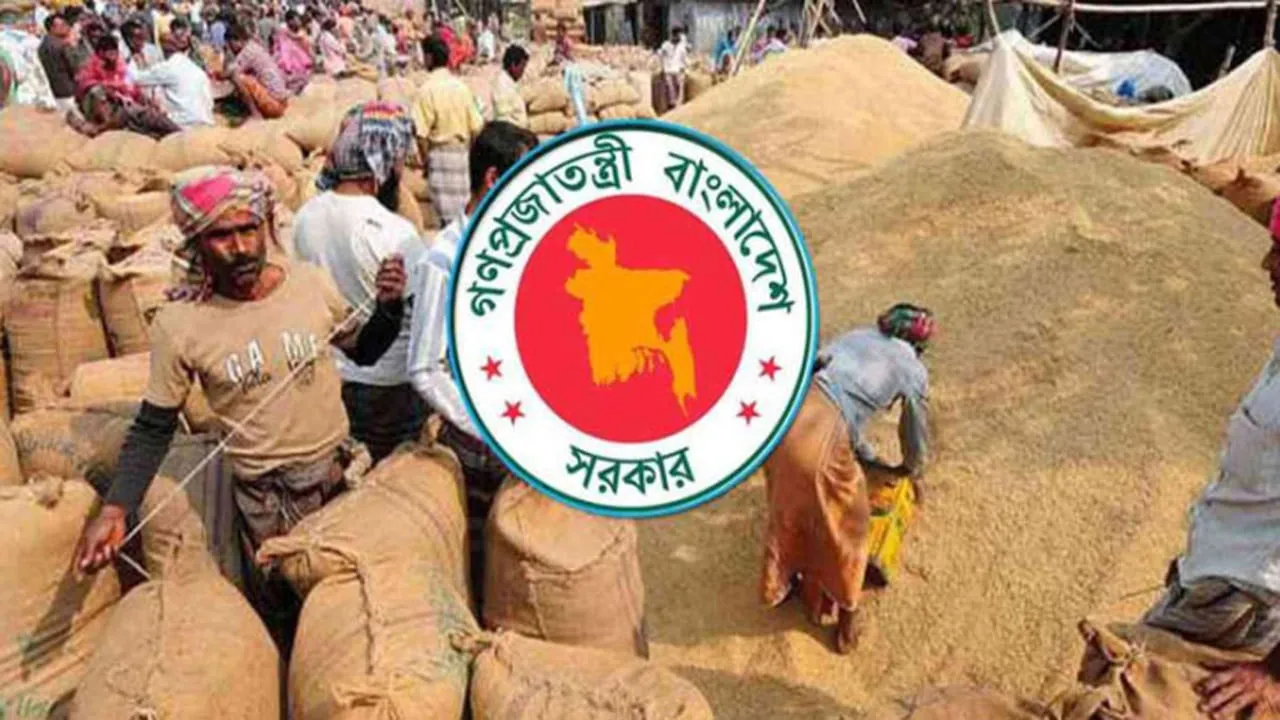 সিলেটে কৃষকের কাছ থেকে সরাসরি ৮৫ হাজার টন চাল কিনবে সরকার